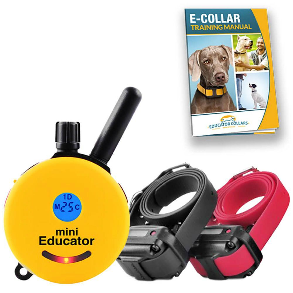 2 dog training collar system best sale