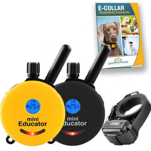 e collar technologies micro educator