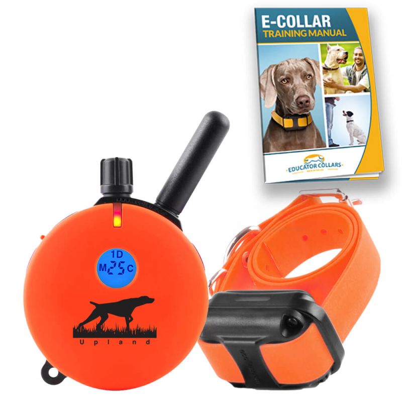 E collar leash training best sale