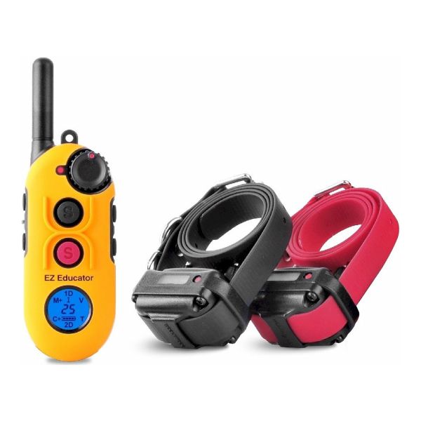 Dog training collar with two remotes hotsell