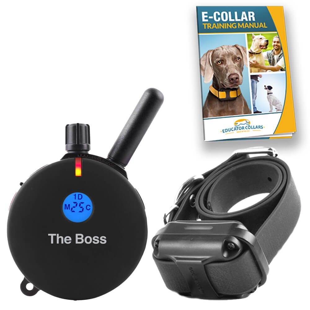 are e collars good for training dogs