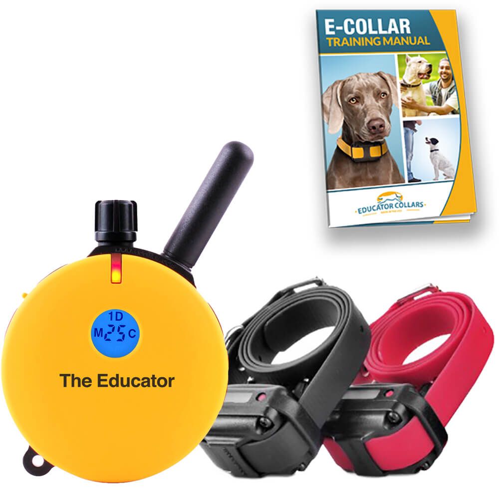 whats an e collar for dogs