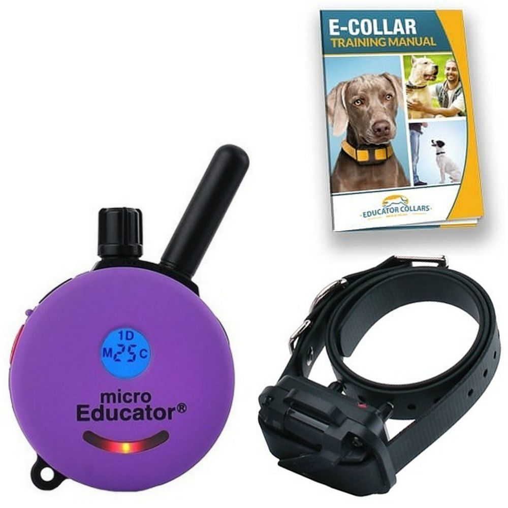 how long should a dog wear an e collar